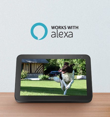 Noorio -- B310 Outdoor Security / Surveillance Camera with Flood light and AI detection