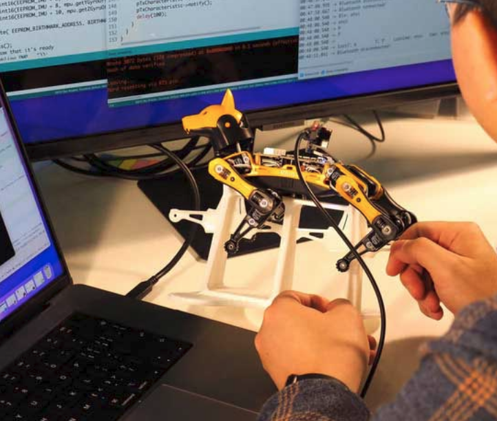 Petoi - Bittle Programmable - open source Robot Dog