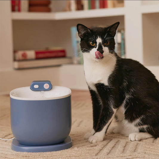 Cat Water Fountain 2.0 - Cordless with Sensor