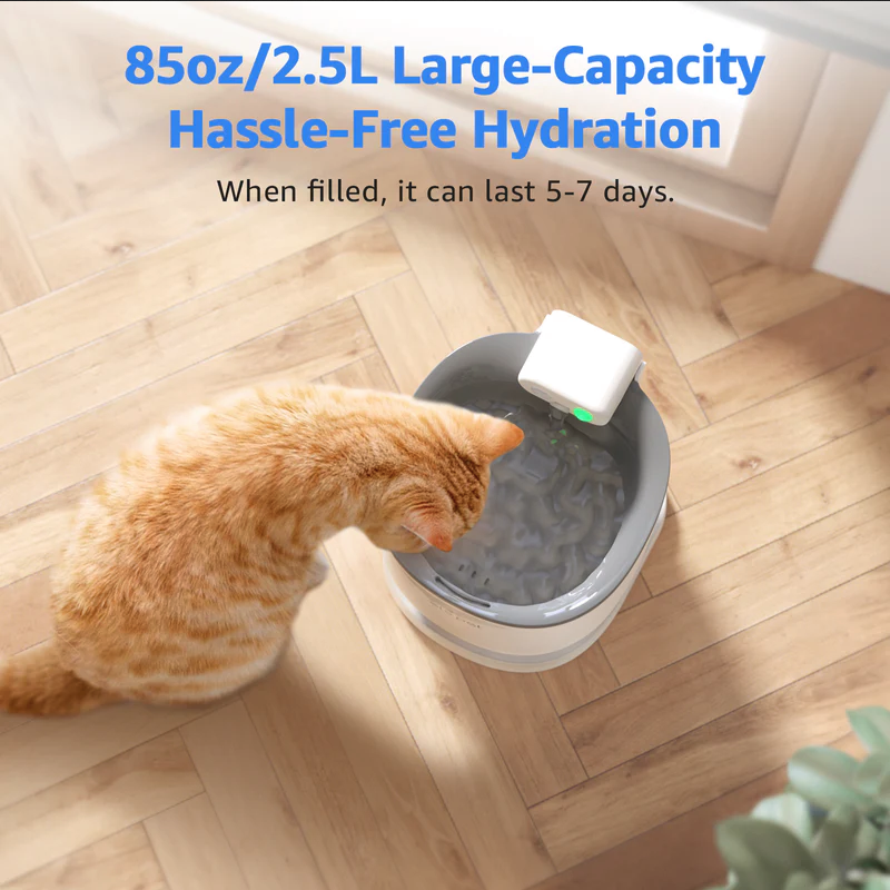 Cat Water Fountain 2.0 - Cordless with Sensor
