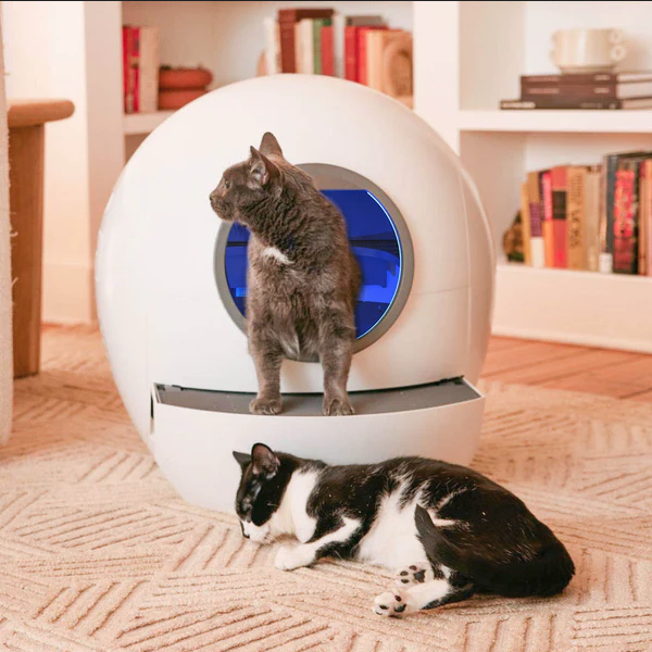 Cat Self Cleaning - Litter Box