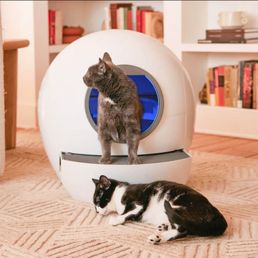 Cat Self Cleaning - Litter Box