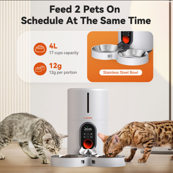 Barn Automatic Feeder with Set Time feature and Double Stainless Steel Bowls