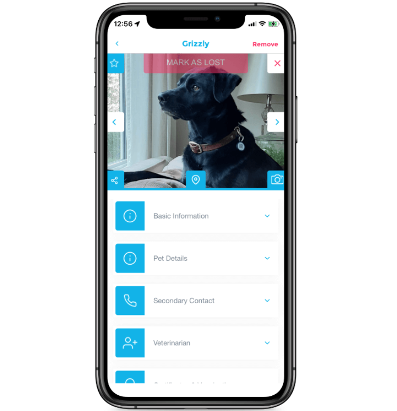 GPC Smart Tags - An advance Pet Smart Tag - Pet Recovery System