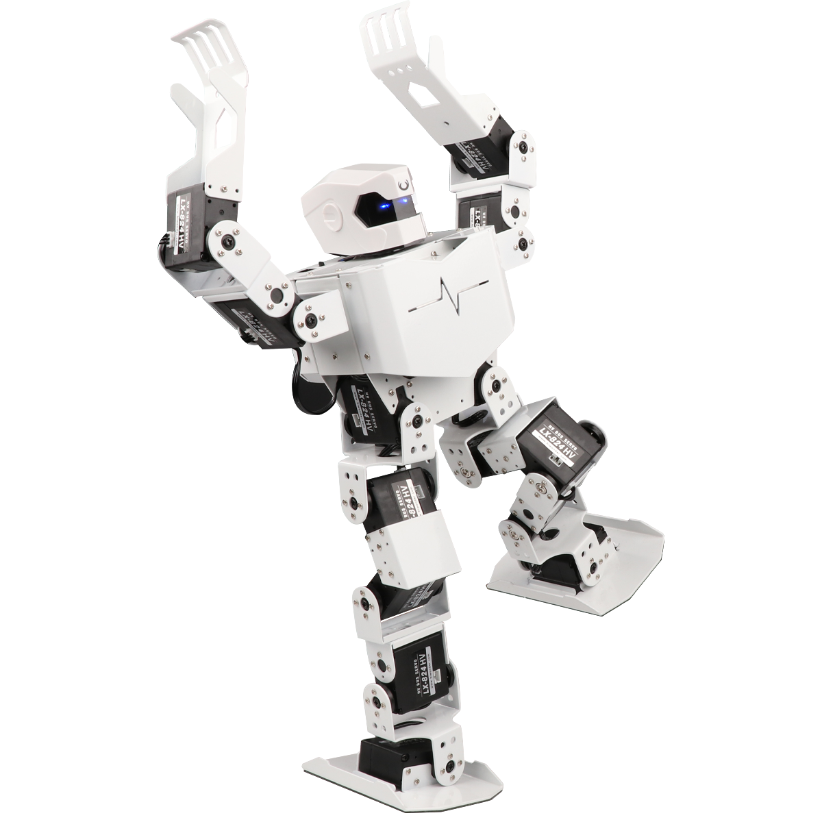 H5S Intelligent Entertainment Robot for Music and Dancing