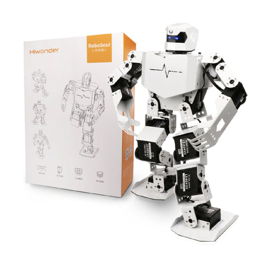 H5S Intelligent Entertainment Robot for Music and Dancing