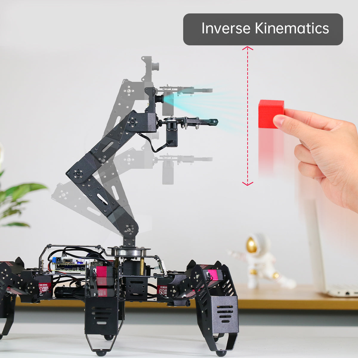 Hiwonder - SpiderPI Pro - Robot with robotic arm (AI Vision and HD Camera)
