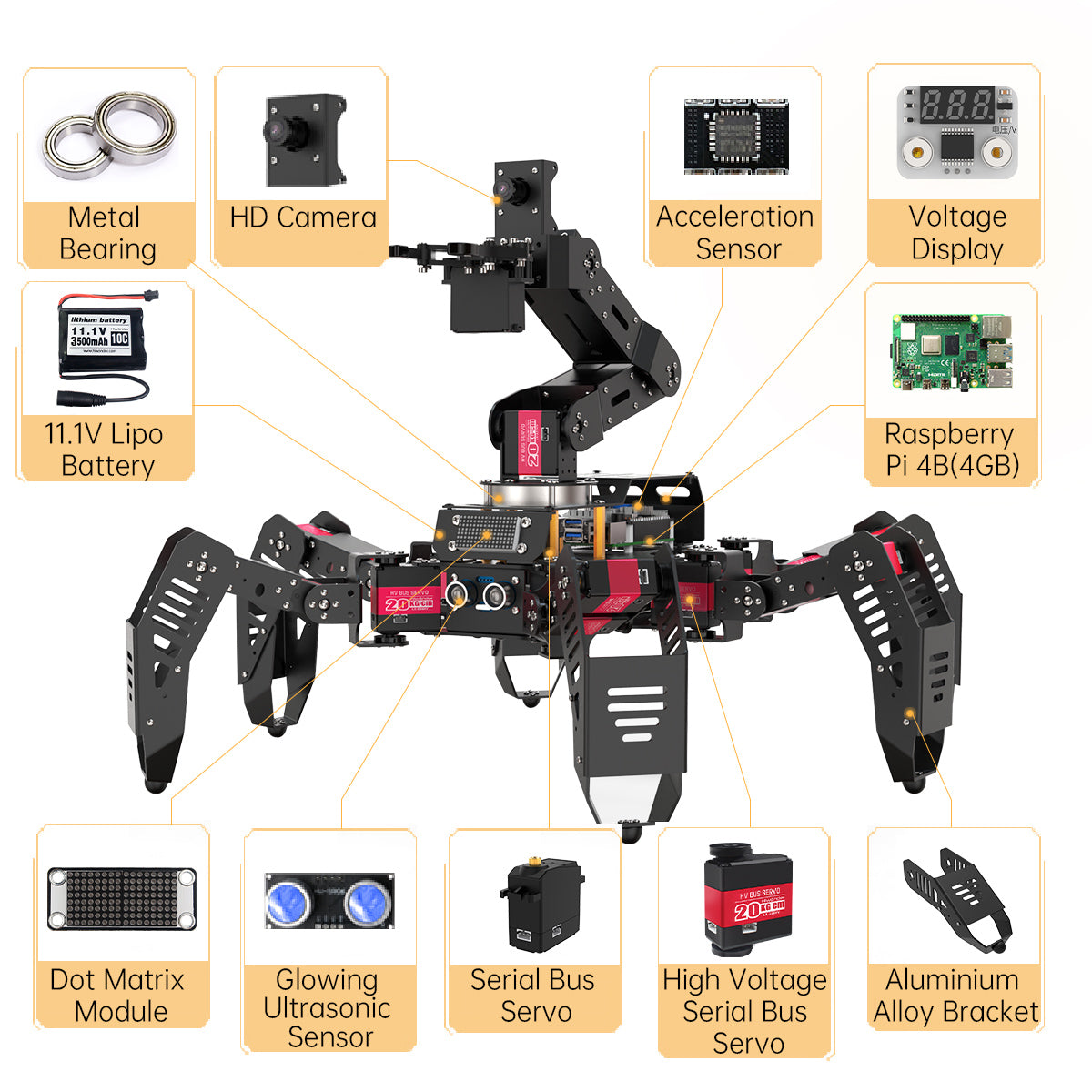 Hiwonder - SpiderPI Pro - Robot with robotic arm (AI Vision and HD Camera)