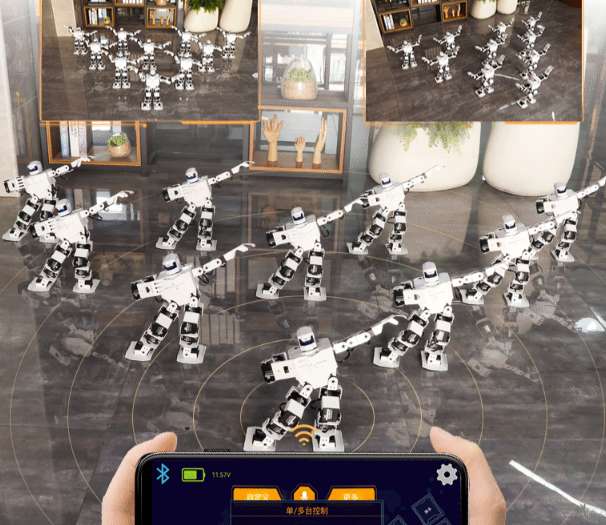 H5S Intelligent Entertainment Robot for Music and Dancing