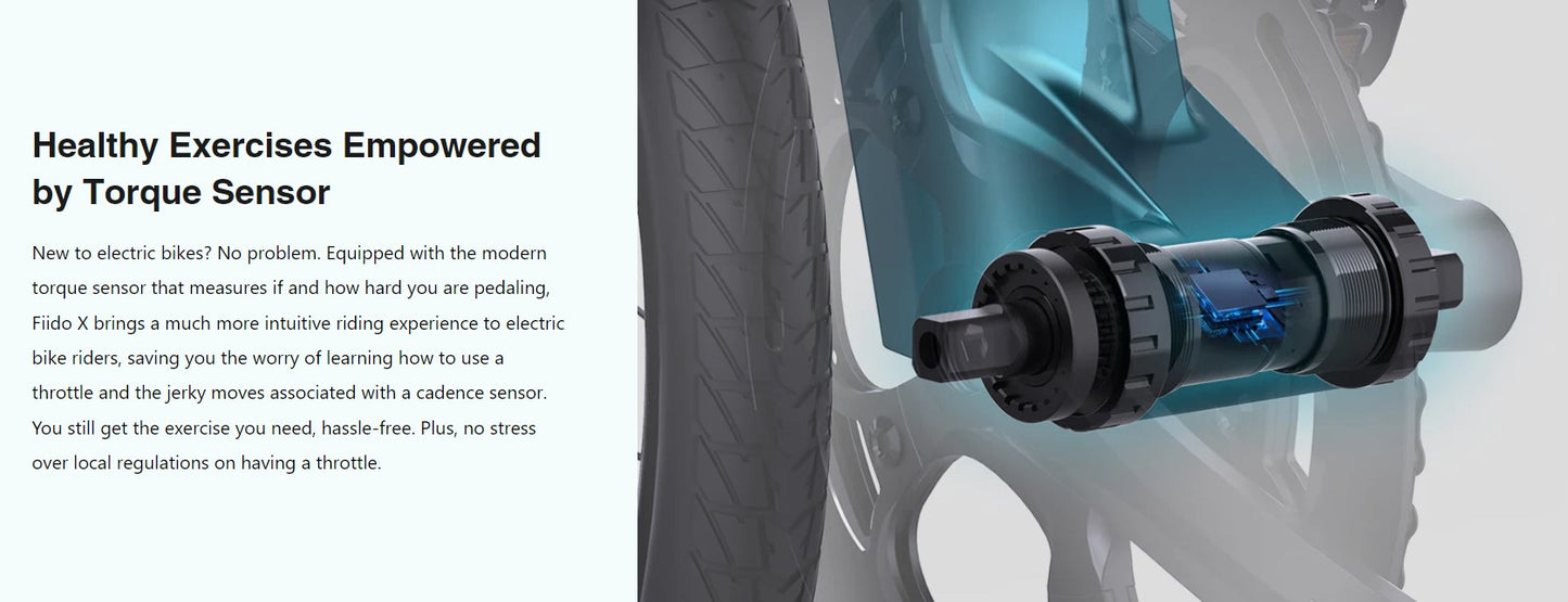 Fiido X Foldable Electric Bike