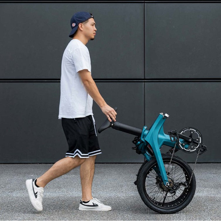 Fiido X Foldable Electric Bike