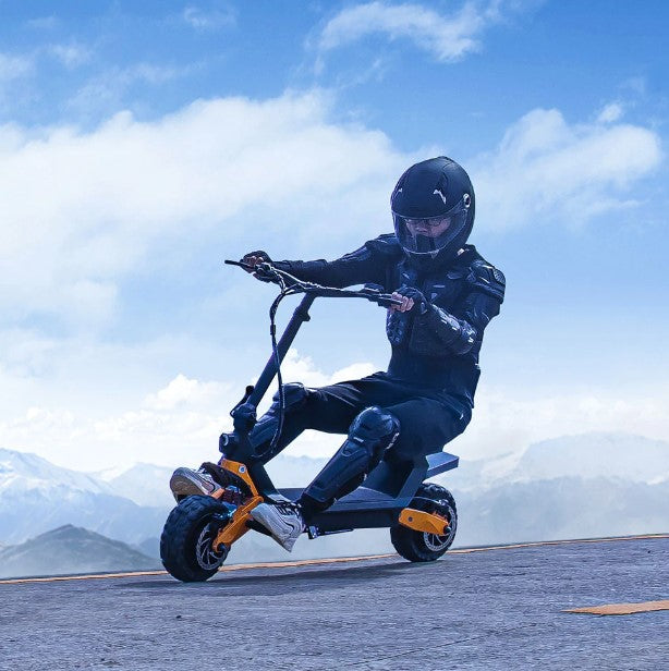 Fiido Beast - Electric Scooter with Scooter and Go-cart function design