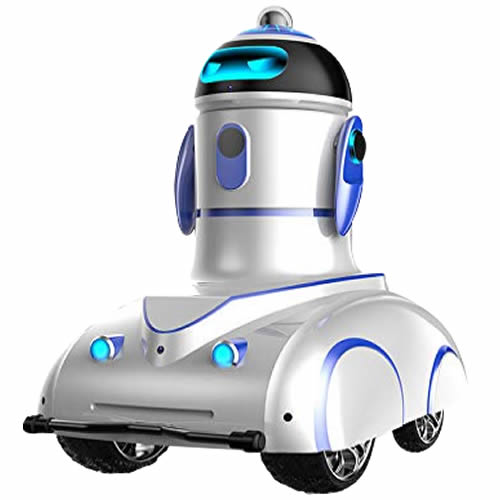 AI - Patrol Robot for Security