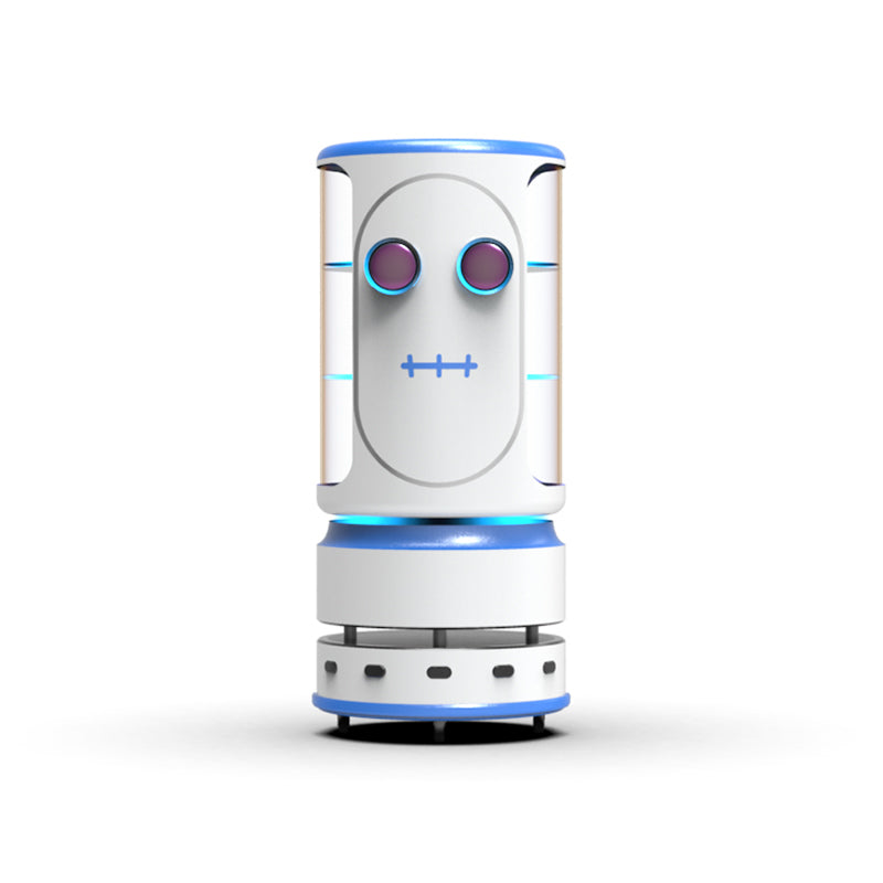 AI Delivery Robot -Commercial