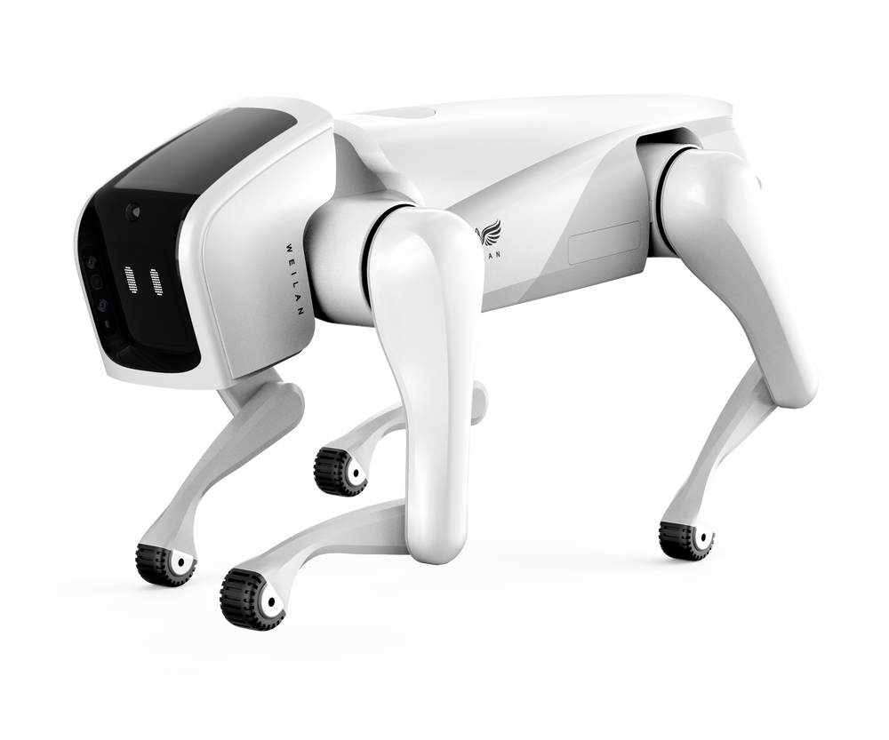 Alphadog C-Series ---- intellgent robotic dog