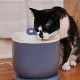 Cat Water Fountain 2.0 - Cordless with Sensor