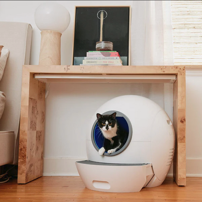 Cat Self Cleaning - Litter Box