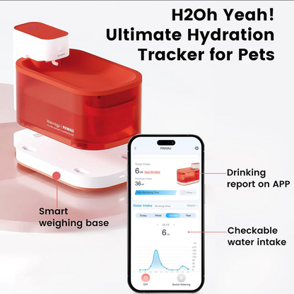 Wireless Pet Water Fountain Pro - With UV Sterilization and Smart App