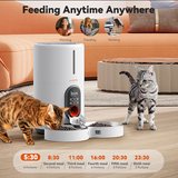 Barn Automatic Feeder with Set Time feature and Double Stainless Steel Bowls