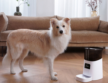 Patrol  - 6L Wifi Automatic Pet Feeder