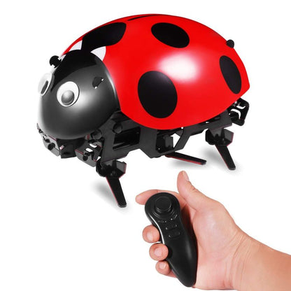 DIY Ladybug Robot