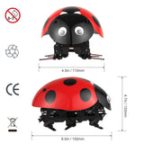 DIY Ladybug Robot