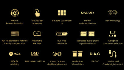 Hiby - RS2 Music Player