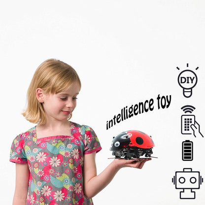 DIY Ladybug Robot