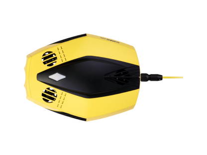 Chasing Dory ---Portable Underwater Drone