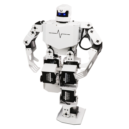 H5S Intelligent Entertainment Robot for Music and Dancing