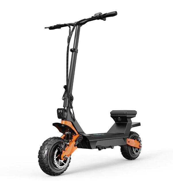 Fiido Beast - Electric Scooter with Scooter and Go-cart function design