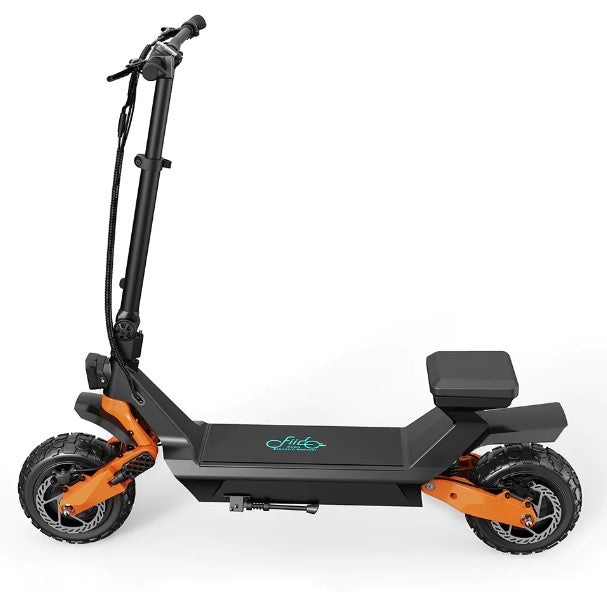 Fiido Beast - Electric Scooter with Scooter and Go-cart function design